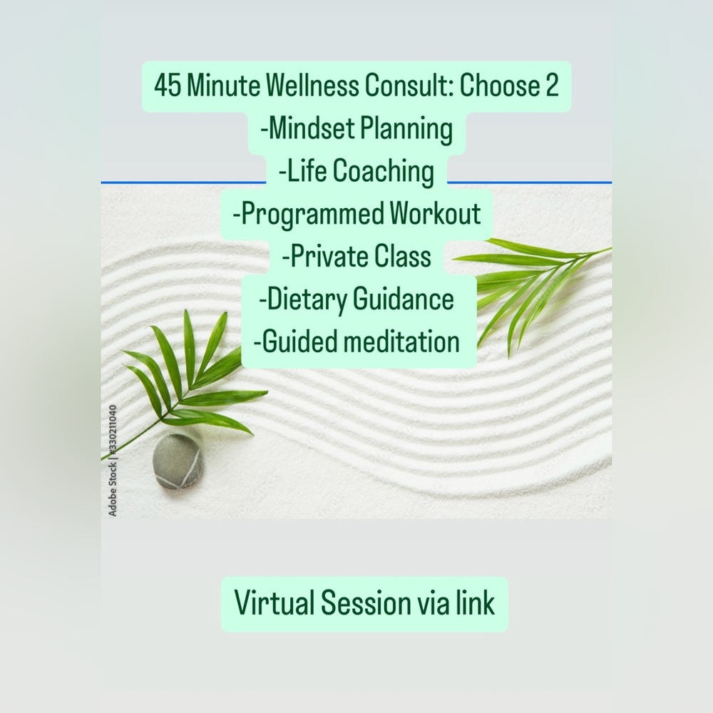 45 Minute Wellness Consult